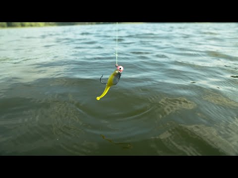 Mr. Crappie Shadpole
